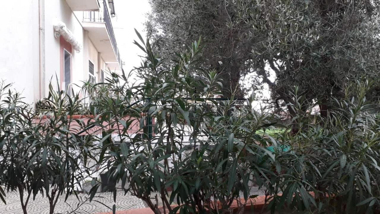 Cialoma Full Green Marina di Camerota Exterior photo