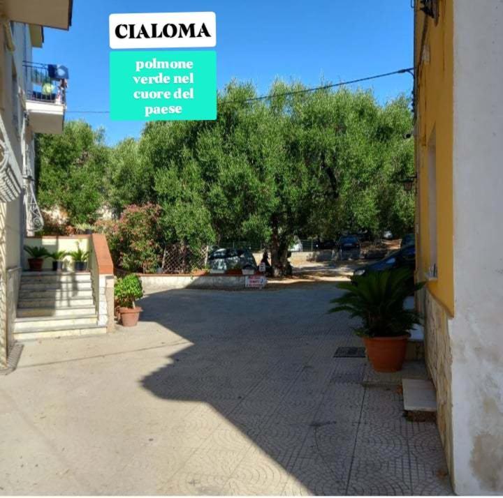 Cialoma Full Green Marina di Camerota Room photo