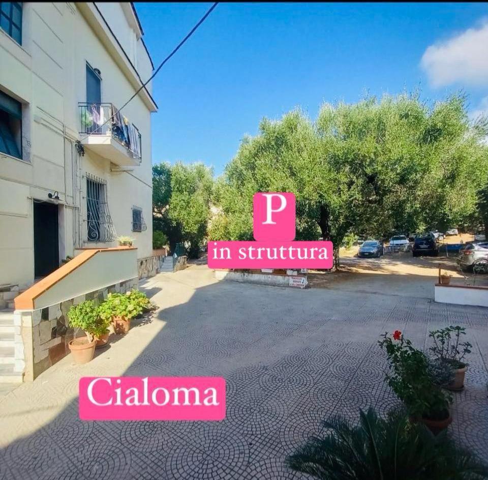 Cialoma Full Green Marina di Camerota Exterior photo